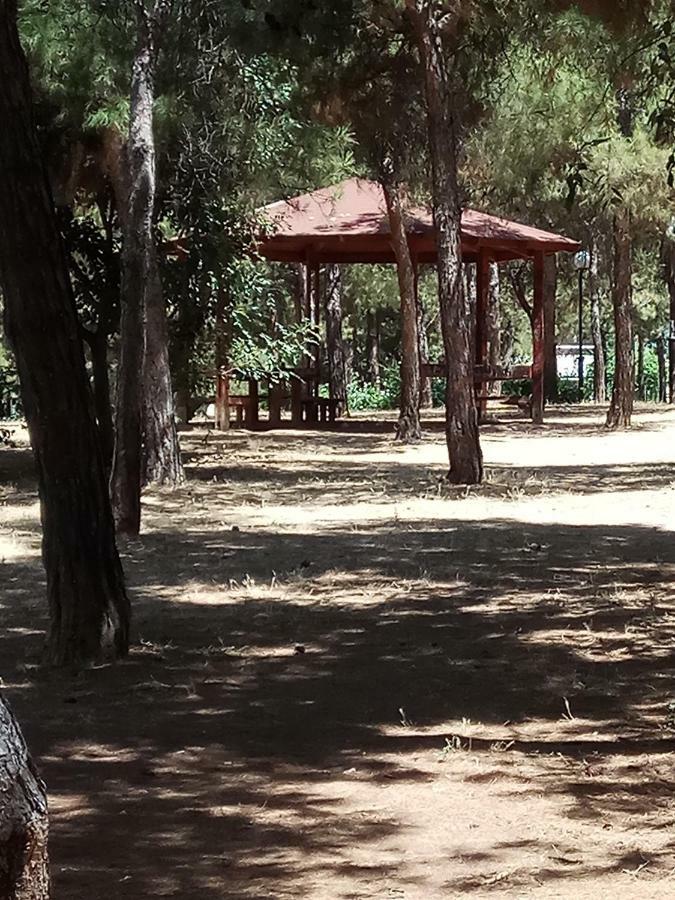 Athens 140 Atenas Exterior foto